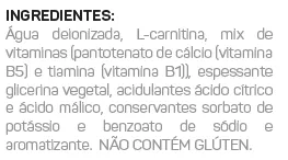 L-Carnitina Pure (400ml) Max Titanium 38 l carnitine liquido tabela nutricional 2 2